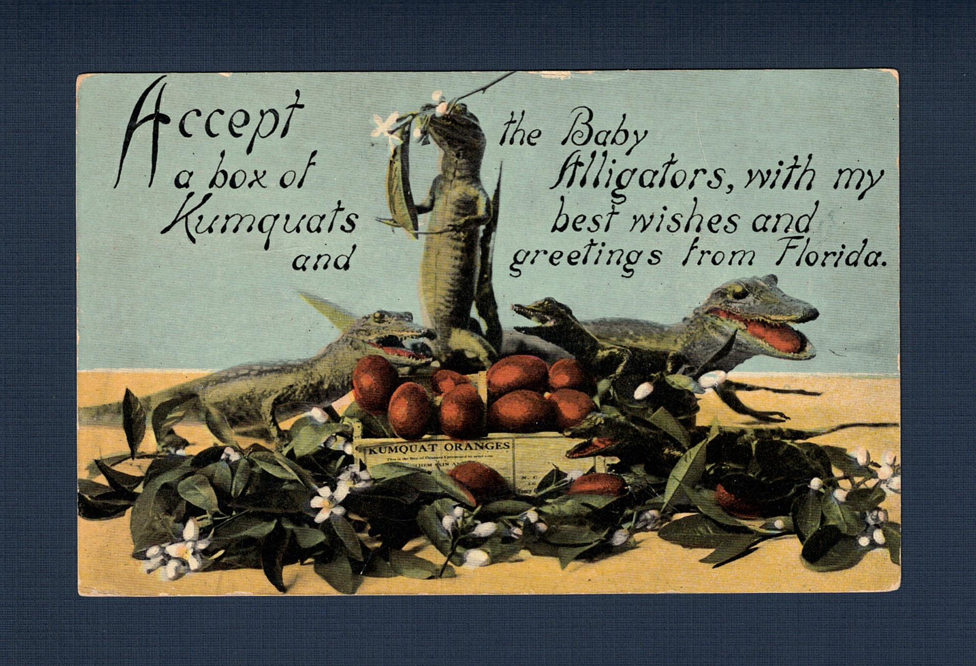 19150427 Geneva FL to Bloomington IL - Front